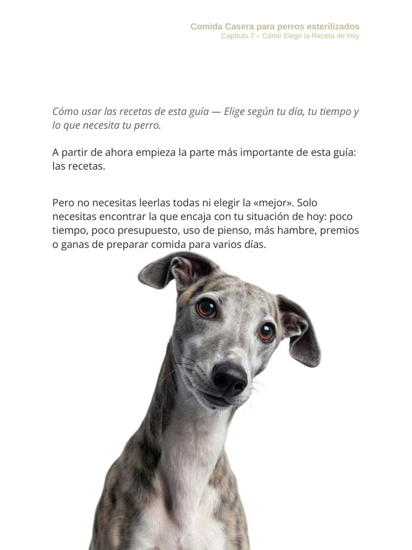 Página 72 del ebook