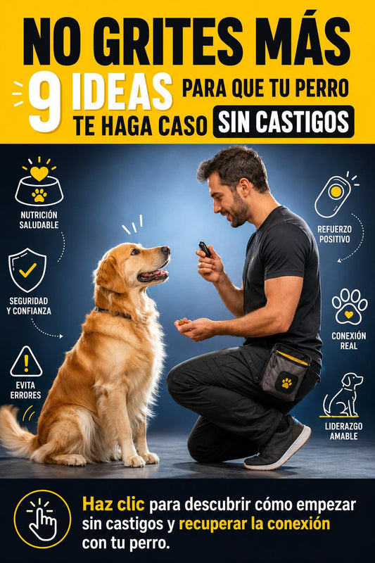 ¿TU PERRO TE IGNORA? DESCUBRE EL SECRETO DEL REFUERZO POSITIVO