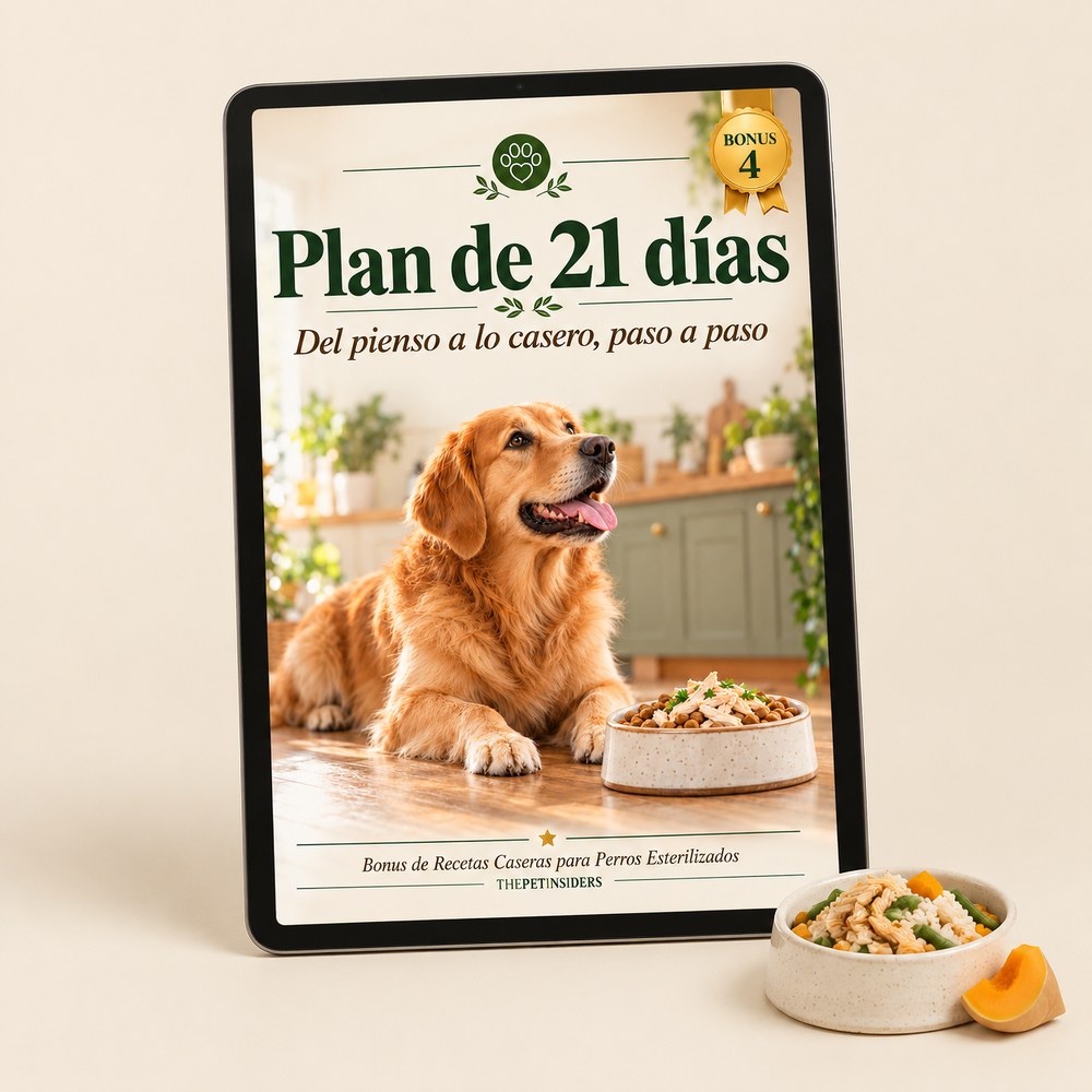 Plan de 21 días: del pienso a lo casero paso a paso