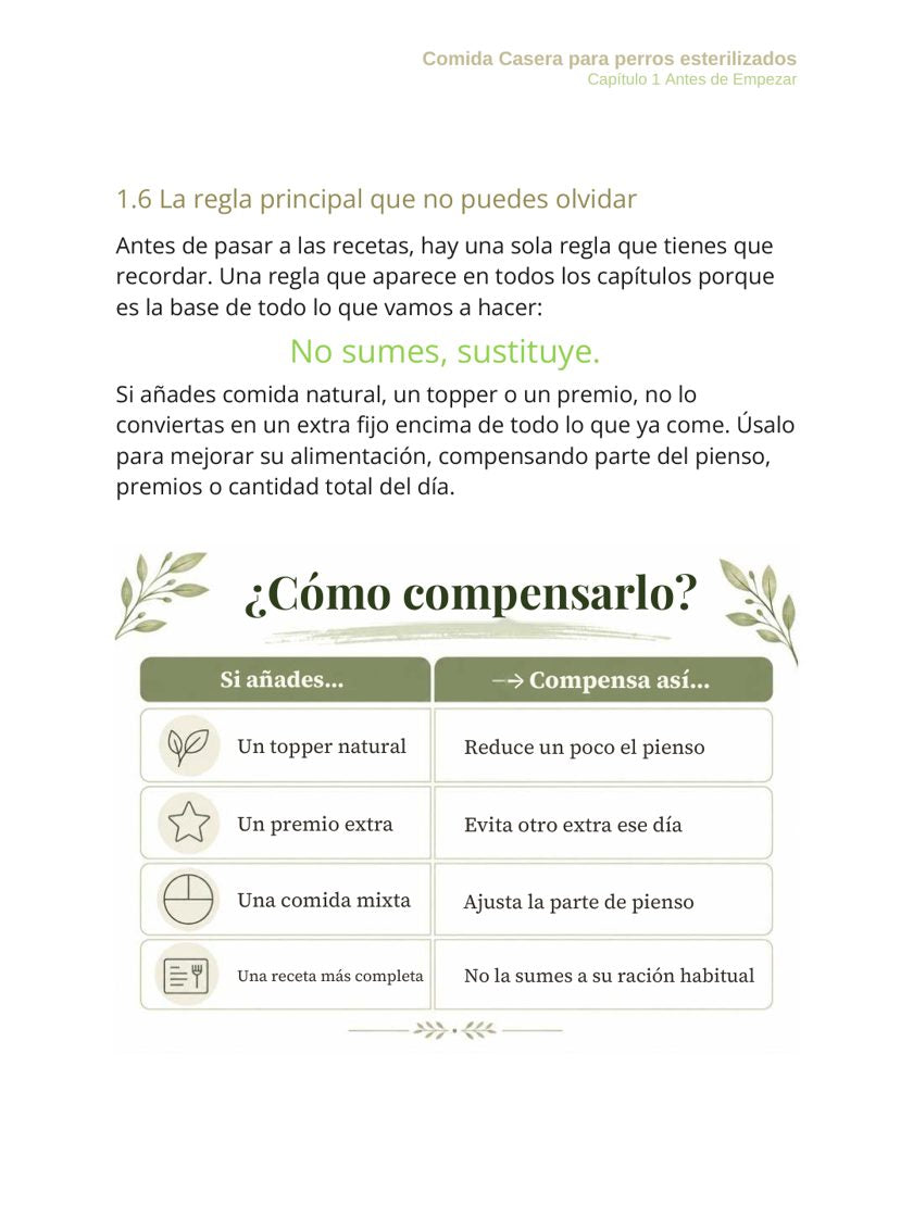 Página 18 del ebook