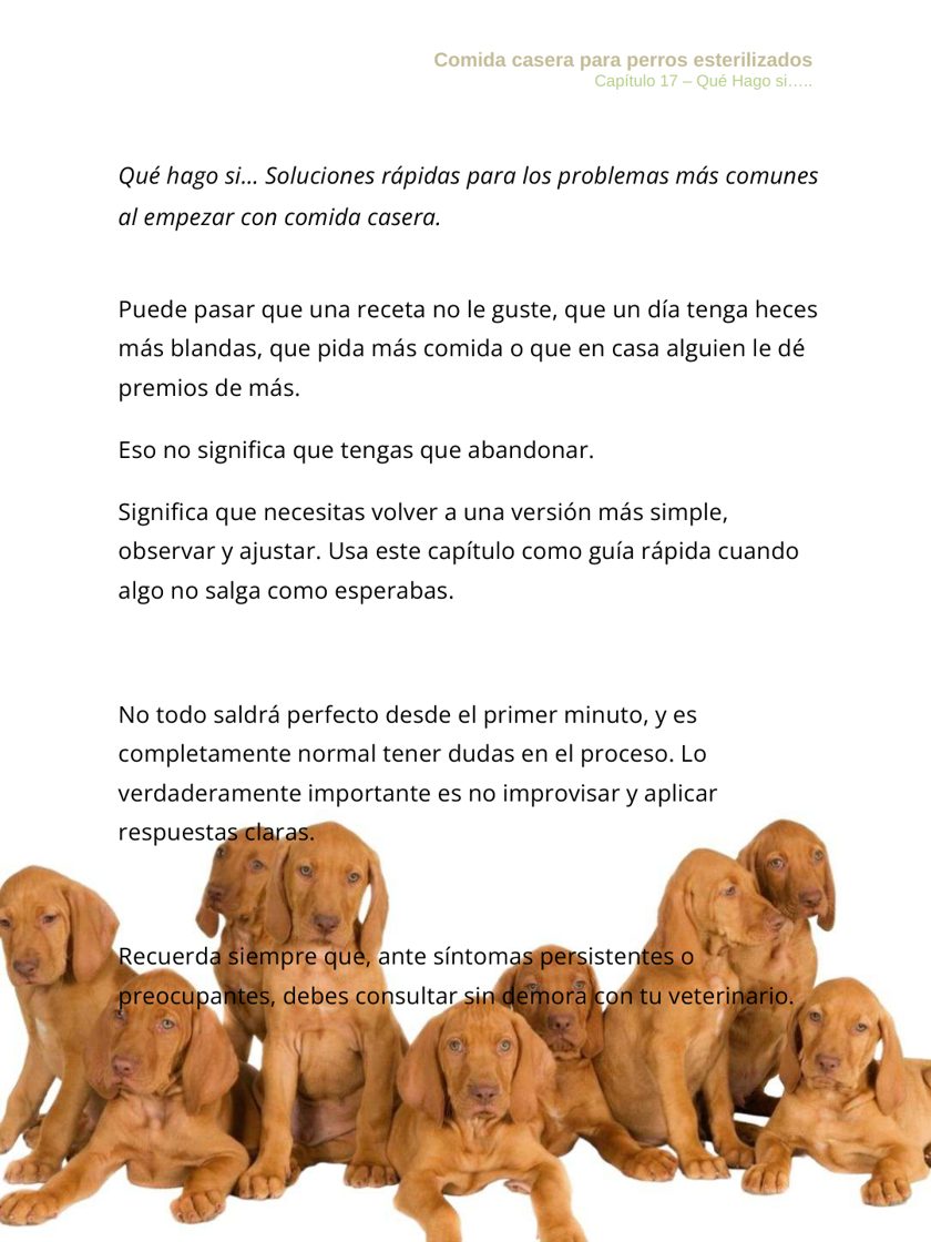 Página 211 del ebook