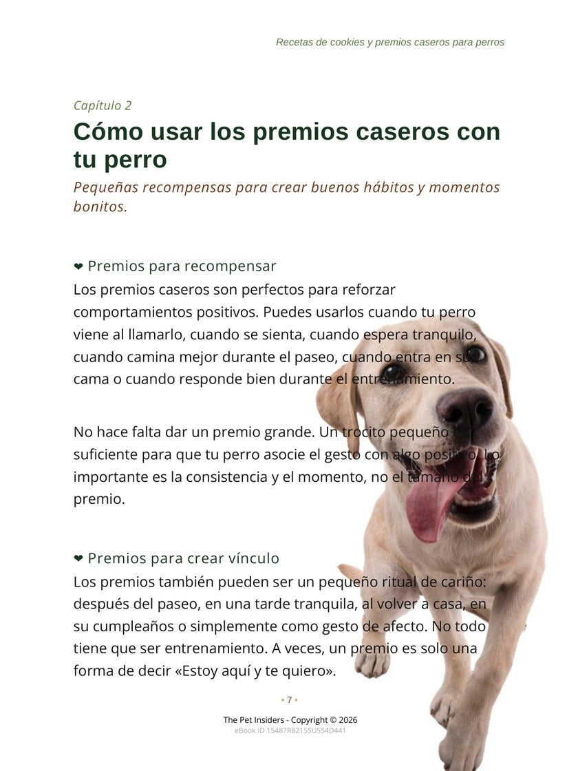 Página 7 del ebook