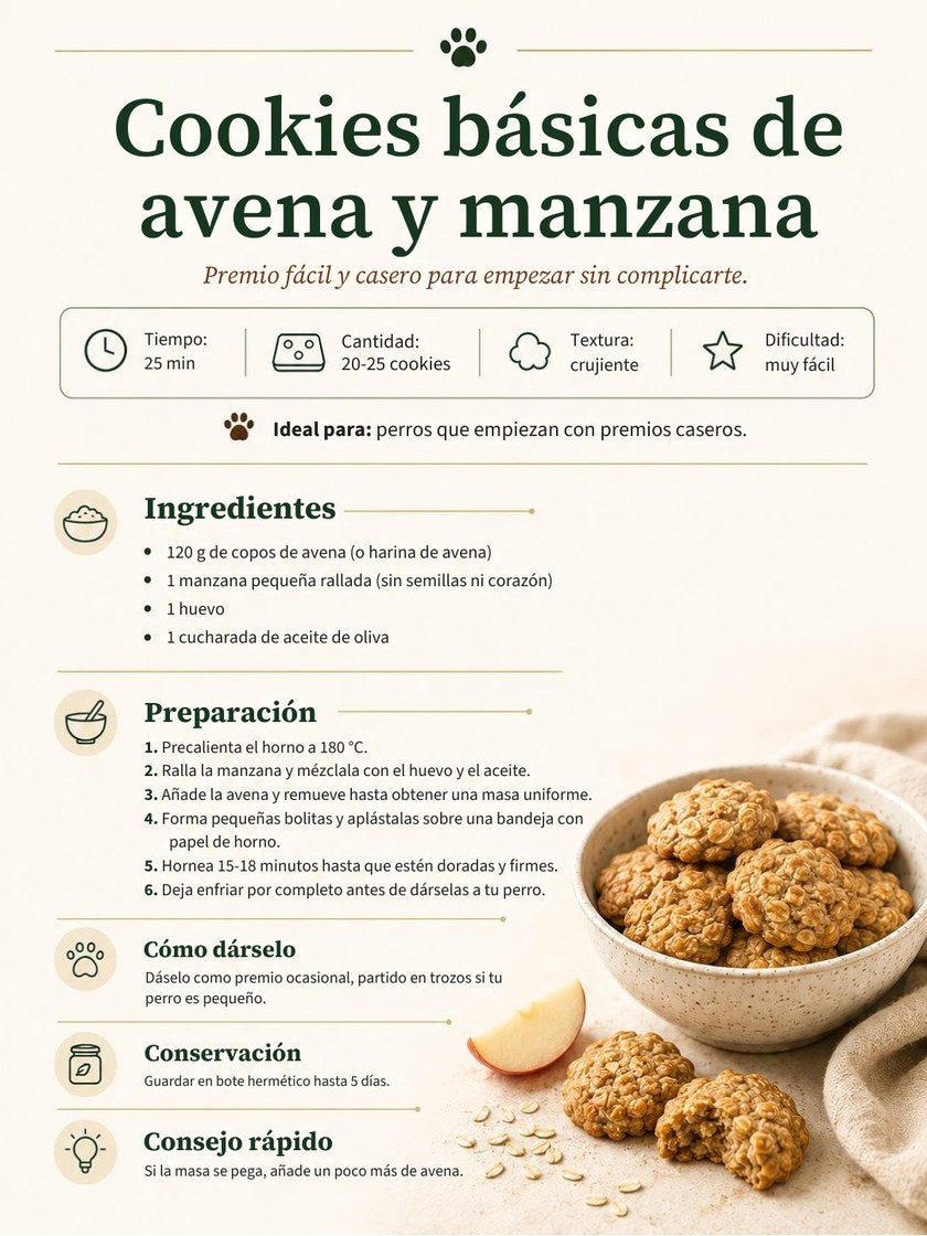 Página 12 del ebook
