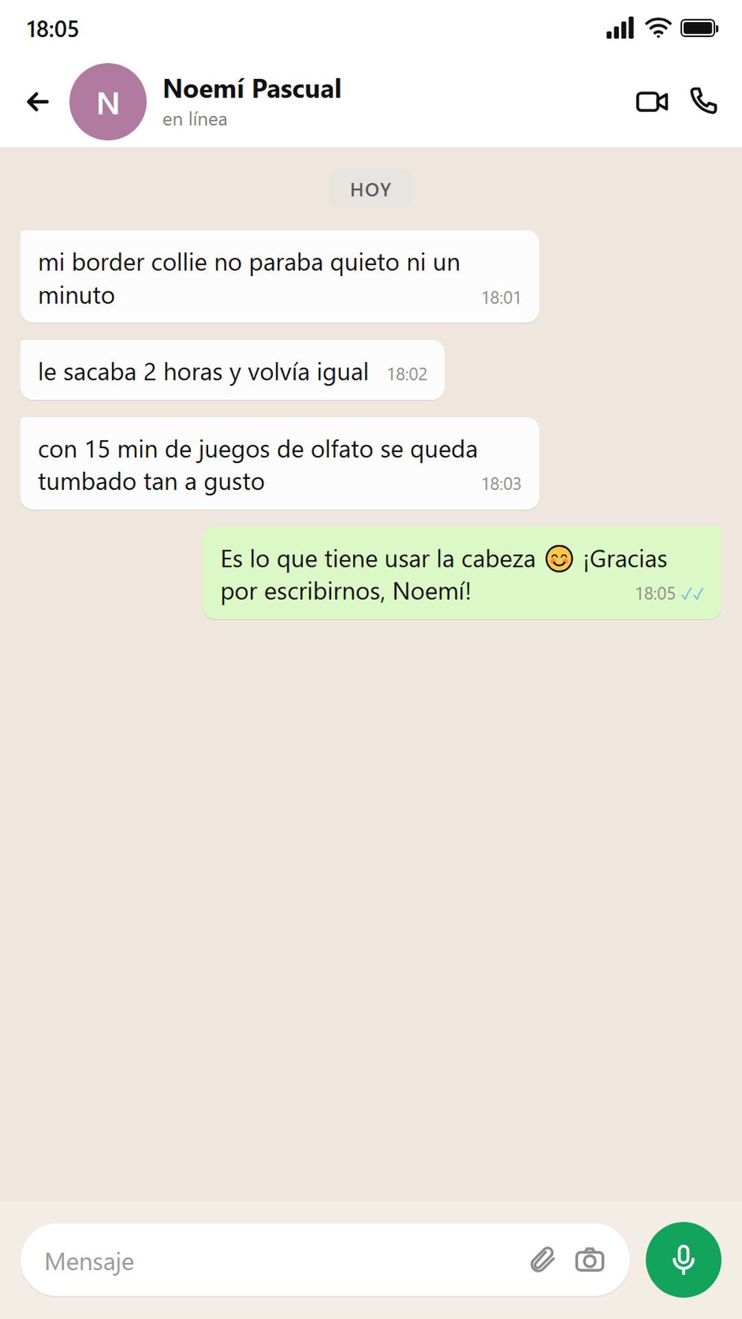 Mensaje de Noemí: su border collie por fin descansa