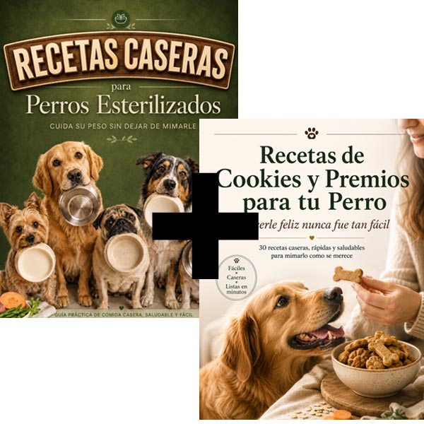 Recetas Caseras para Perros Esterilizados
